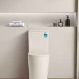 Avis Rimless Toilet Suite