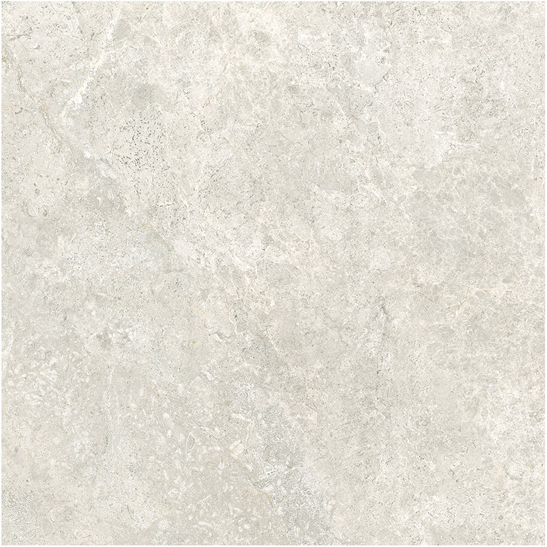 Arctic Tundra Matt Tile P3 600mm x 600mm
