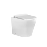 Flay-R Back To Wall Toilet