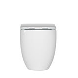 Alexander-R Wall Faced Pan