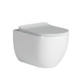Alexander-R Wall Hung Toilet