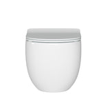 Alexander-R Wall Hung Toilet