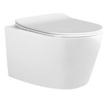 Flay-R Wall Hung Toilet