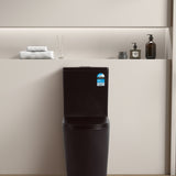 Avis Rimless Toilet Suite