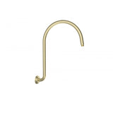 Clasico Gooseneck Shower Arm