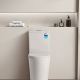 Avis Rimless Toilet Suite