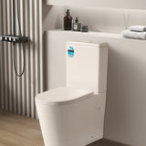 Avis Rimless Toilet Suite