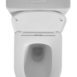 Avis Rimless Toilet Suite