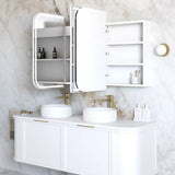 LED Newport Shaving Cabinet Premium Edition