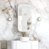LED Newport Shaving Cabinet Premium Edition