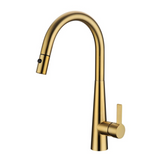 Lorena Pull-Out Sink Mixer