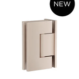 Glass to Wall Shower Door Hinge