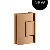 Glass to Wall Shower Door Hinge