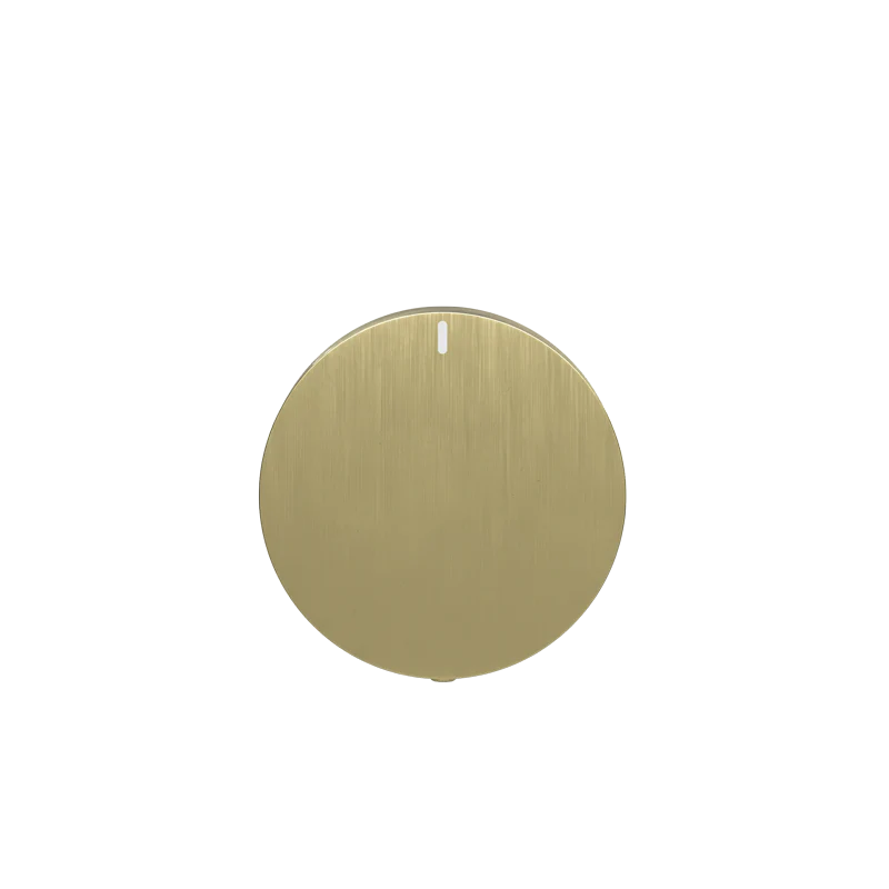 Progressive mixer (in-wall body and Trim set)