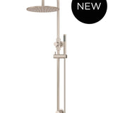 ROUND GOOSENECK SHOWER SET WITH 300MM ROSE, SINGLE-FUNCTION HAND SHOWER