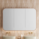 Jazz Arch Frame Shaving Cabinet