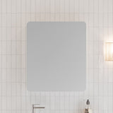 Colby Shaving Cabinet