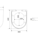 Avery Wall Hung Toilet