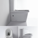 Vella Rimless Toilet Suite
