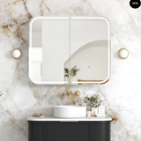 LED Newport Shaving Cabinet Premium Edition