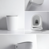 Flay-R Back To Wall Toilet