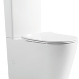 Tornado Toilet