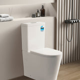 Vivid Tornado Toilet Suite