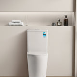 Vivid Tornado Toilet Suite