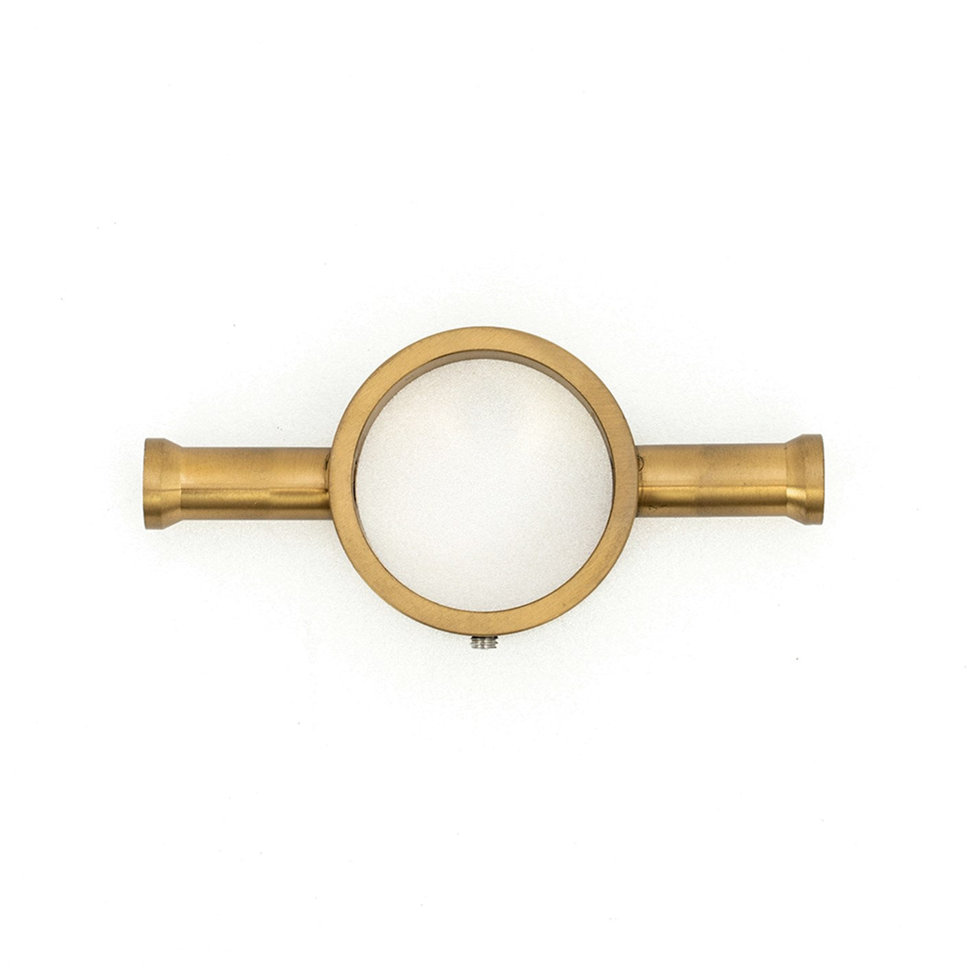Ring hook accessory for Vertical rails