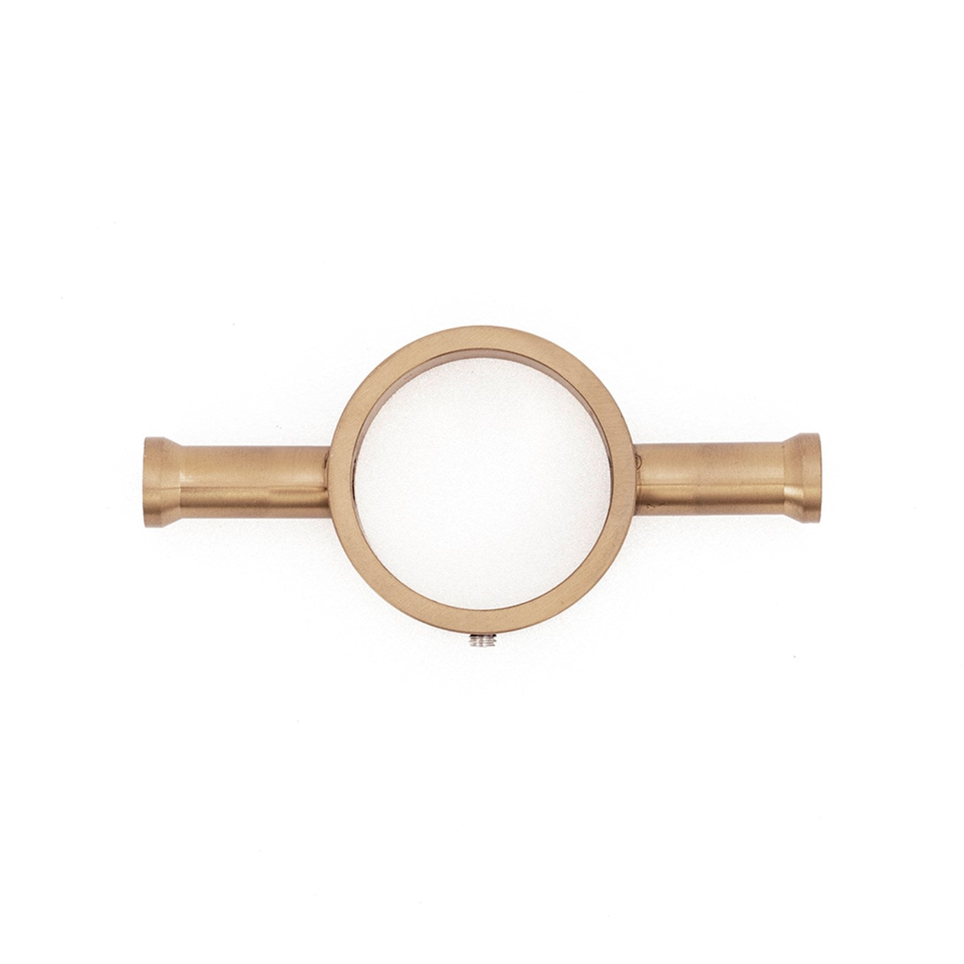 Ring hook accessory for Vertical rails