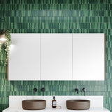 Denver Shaving Cabinet