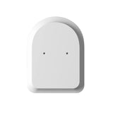 Laguna White Handle Archie Frame Only