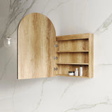 LED Archie Shaving Cabinet Premium Edition