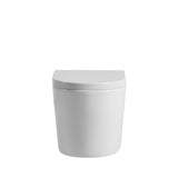 Avis Wall Hung Toilet