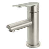 Round Paddle Basin Mixer