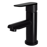 Round Paddle Basin Mixer