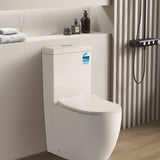 Veda Tornado Toilet Suite