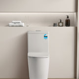Veda Tornado Toilet Suite