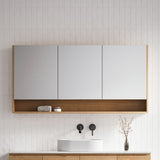 Sanremo Shaving Cabinet